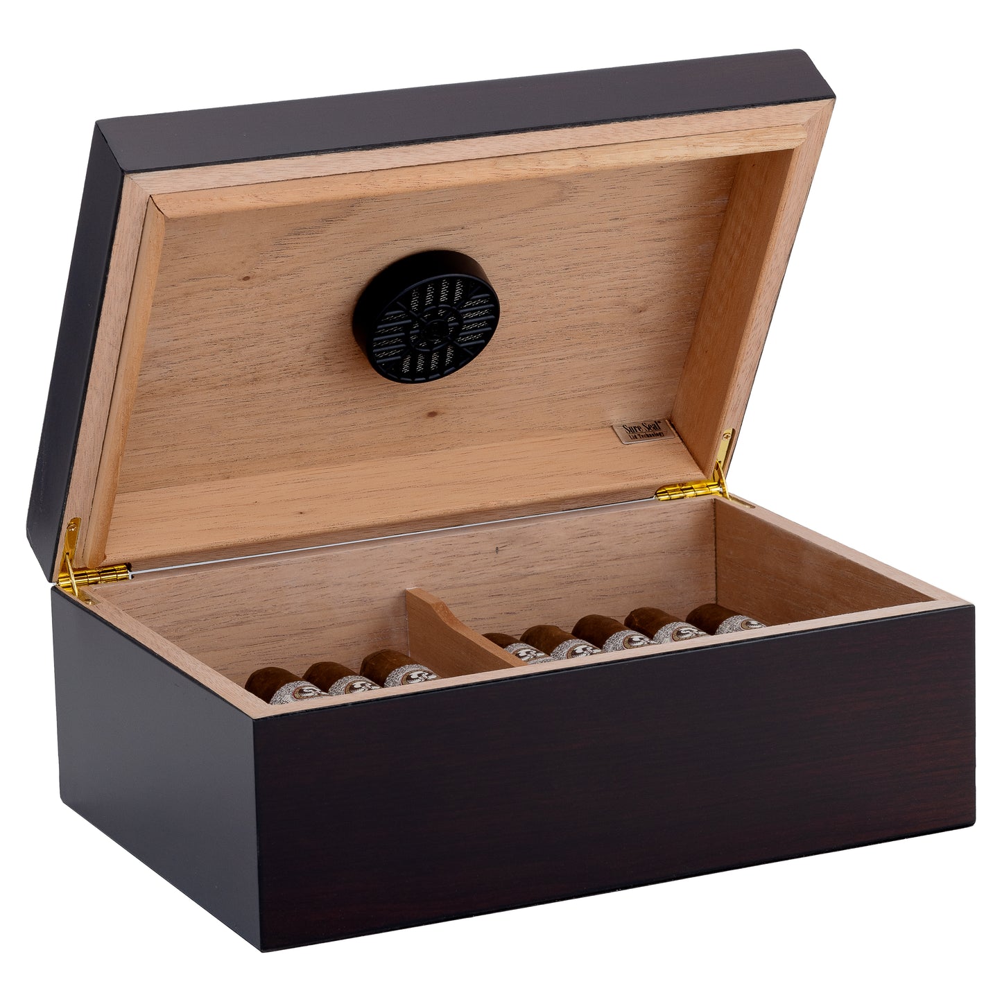Wide Angle – Forte Humidor Packed with Cigars