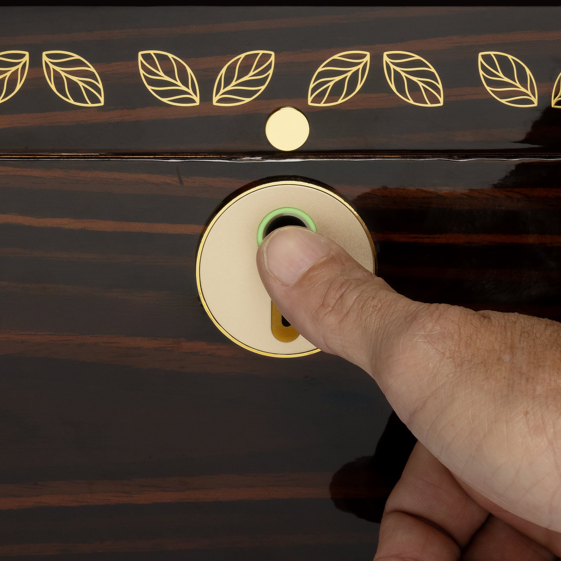 Biometric Fingerprint Lock – USB Rechargeable in Action